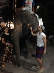 sometimes when you walk around Thailand at night, you run into elephants